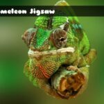 Chameleon Jigsaw