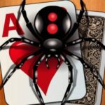 Classic Spider Solitaire