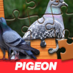 Pigeon Jigsaw Puzzle