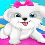 Puppy: Pet Salon & Dog Daycare