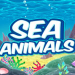 Sea Animals HD