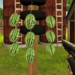 Watermelon Shooter