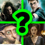 WHICH HARRY POTTER CHARACTER ARE YOU?